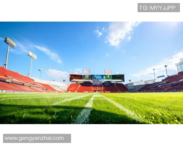 从绿茵场到荣耀殿堂探索足球精神与团队合作的无穷魅力