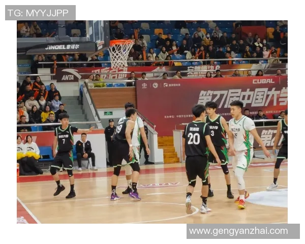 篮球的魅力与未来发展：从职业联赛到街头文化的全景探讨